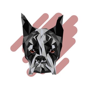 White boxer dog animal low poly design. Triangle vector illustration