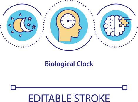 Biological clock concept icon