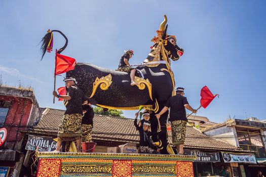 Ubud, Bali, Indonesia - April 22, 2019 : Royal cremation ceremony prepation. Balinese hindus religion procession. Bade and Lembu Black Bull symbol of transportation for the spirit to the heaven