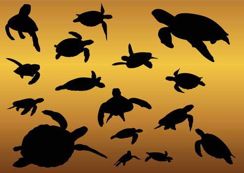 Collection of animal Turtle Silhouette in different poses
