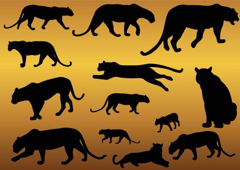 Leopard predator animal silhouettes vector