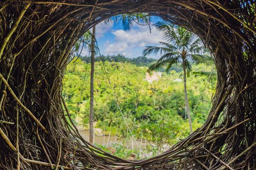 Bali trend, straw nests everywhere. Bali island, Indonesia