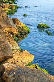 Beauty and calm sea rocky coast with green moss on the stones.Vertical view