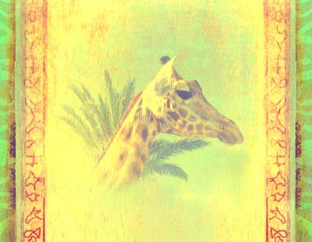 grunge background with giraffe and palm