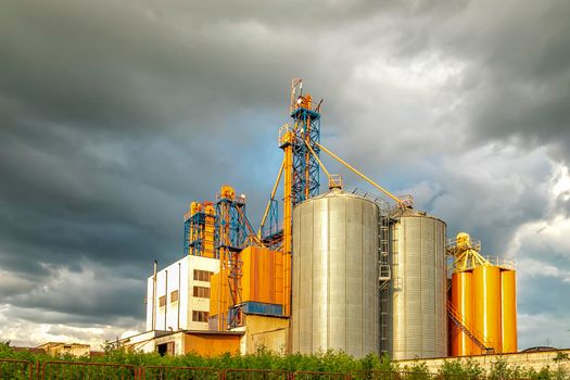 Modern Silo. Set of storage tanks cultivated agricultural crops processing plant. 