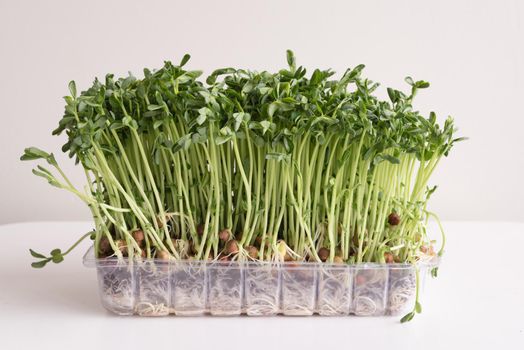 Pea sprouts in plastic container on white table against neutral background