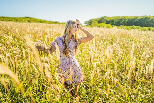 Young beautiful woman in autumn landscape with dry flowers, wheat spikes. Fashion autumn, winter. Sunny autumn, fashion photo.