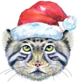 Watercolor portrait of a Manul Cat in Santa hat on white background