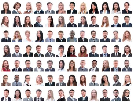 portraits of successful employees isolated on a white