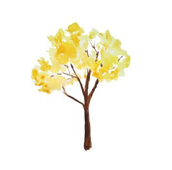 Watercolor hand drawn illustration of autumn fall tree in forest wood woodland park. Outdoor wild landscape. Nature camping design, fall activities in the open. Orange yellow colors eco maple season.