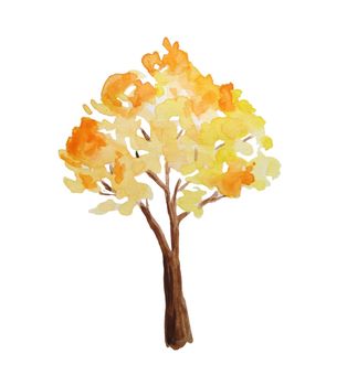 Watercolor hand drawn illustration of autumn fall tree in forest wood woodland park. Outdoor wild bright landscape. Nature camping design, fall activities in the open. Orange yellow colors eco season.