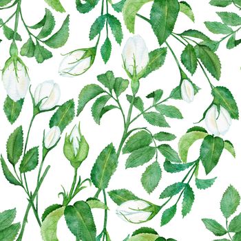 Watercolor hand drawn seamless pattern with floral wild rose flowers leaves branches. Green leaf greenery white blue dogrose print background. Natural elegant victorian design for wallpaper textile.