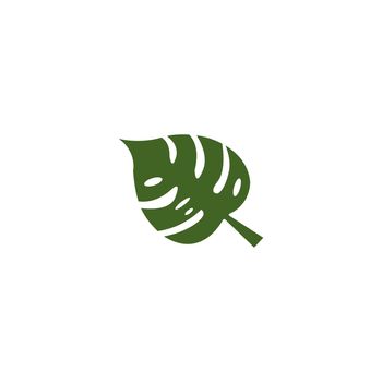 monstera leaf icon.