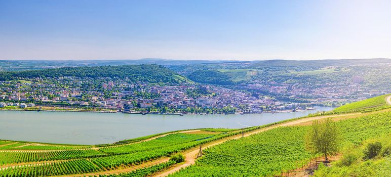 Panorama of river Rhine Gorge or Upper Middle Rhine Valley winemaking region