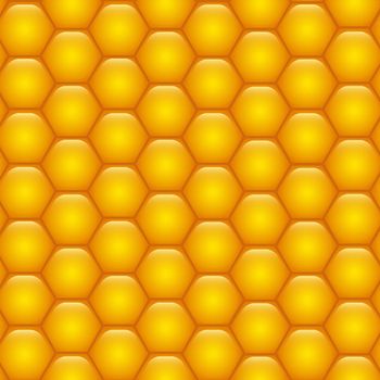 Honeycombs with honey. Background texture.