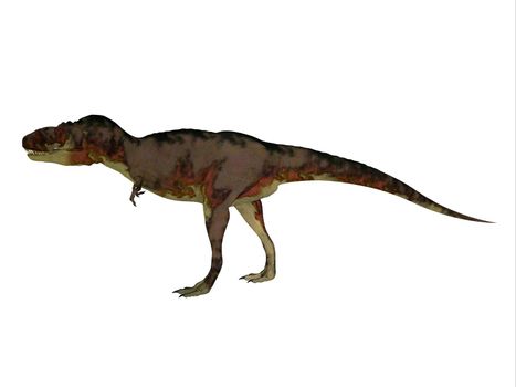 Daspletosaurus Theropod Dinosaur