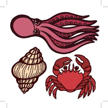 Marine inhabitants. Octopus, crab and shellfish. Isolated objects. Vector Image.