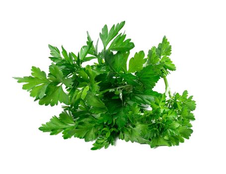 bunch of fresh green parsley isolated on white background