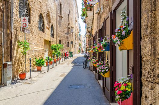 Narrow cobblestone street in Taranto historical city center. Typical italian street with flowers in pots