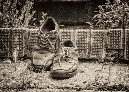 Old worn leather shoes in the garden . A black and white photo effect.