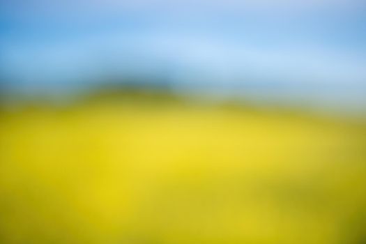 Abstract defocused Rapeseed, canola or colza field in Latin Brassica Napus, rape seed is plant for green energy and oil industry. Flowering rapeseed with blue sky and clouds