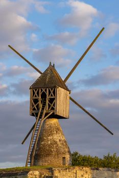Windmill of La Tranchee and vineyard near Montsoreau, Pays de la Loire, France