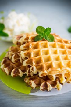 Sweet cottage cheese wafers with a sprig of mint in a plate