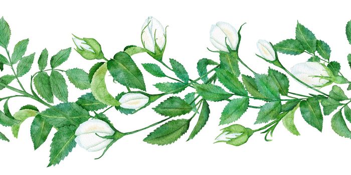 Watercolor hand drawn seamless horizontal border with white wild rose flowers green leaf leaves. Elegant floral arrangement frame for wedding invitation design, textile. Natural nature plant herb organic fashion.
