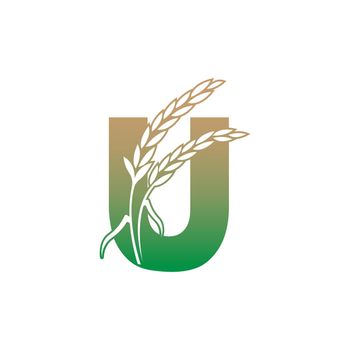 Letter U with rice plant icon illustration template