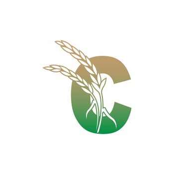 Letter C with rice plant icon illustration template