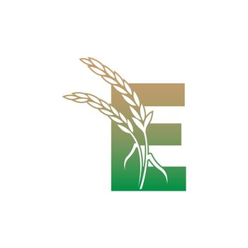 Letter E with rice plant icon illustration template
