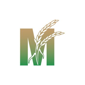 Letter M with rice plant icon illustration template