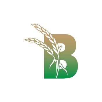 Letter B with rice plant icon illustration template