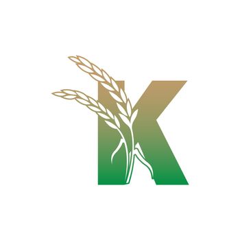 Letter K with rice plant icon illustration template