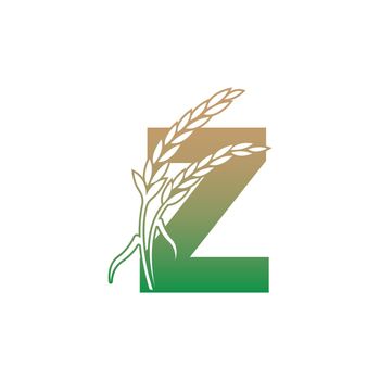 Letter Z with rice plant icon illustration template