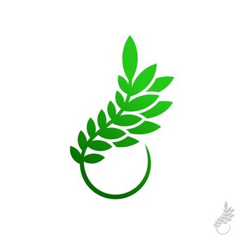 Branches floral vector logo design template