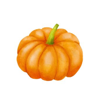 Watercolor Pumpkin. Hand drawn painting autumn vegetable isolated on white background. Fall harvest. Vegetarian raw food