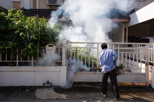 Fogging DDT spray mosquito kill for virus protect