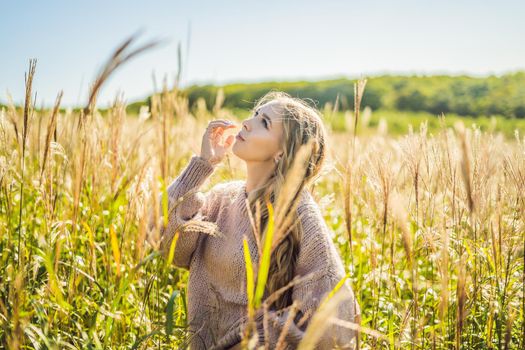 Young beautiful woman in autumn landscape with dry flowers, wheat spikes. Fashion autumn, winter. Sunny autumn, Cozy autumn sweater. fashion photo