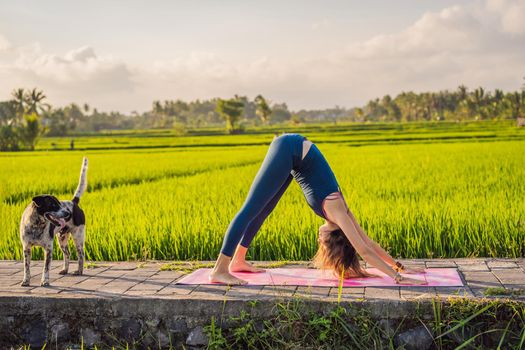 Young woman practice yoga outdoor in rice fields in the morning during wellness retreat in Bali