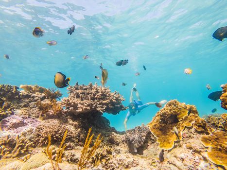 Man snorkeling underwater on a reef with soft coral and tropical fish