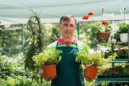 Man working in a garden center standing and holding plants