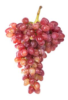 grapes bunch isolated on the white background.