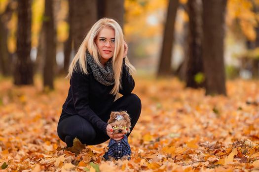 girl with yorkshire terrier dog