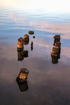 Old timber jetty pillars protruding from the water.  dead tree stumps In the water