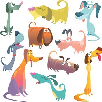 Cartoon collection of illustrated dogs. Big set of cartoon dogs breed