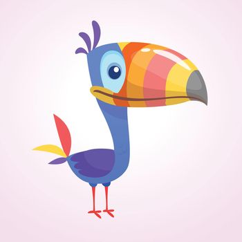 Toucan cartoon. Vector of toucan bird. Exotic colorful bird illustration