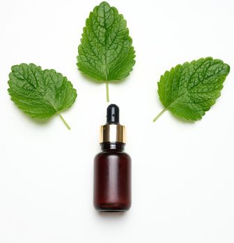 Brown glass bottle with a pipette for cosmetics and green mint leaves on a white background, top view