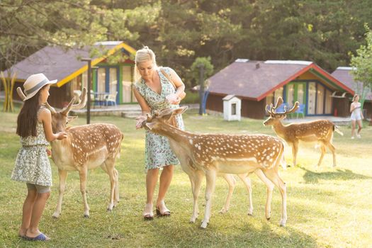 Happy young mother with daughter feeding beautiful deer in the zoo