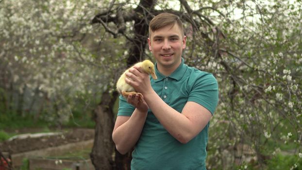 A young man holds a real duckling in his arms. A man in the garden with a bird.